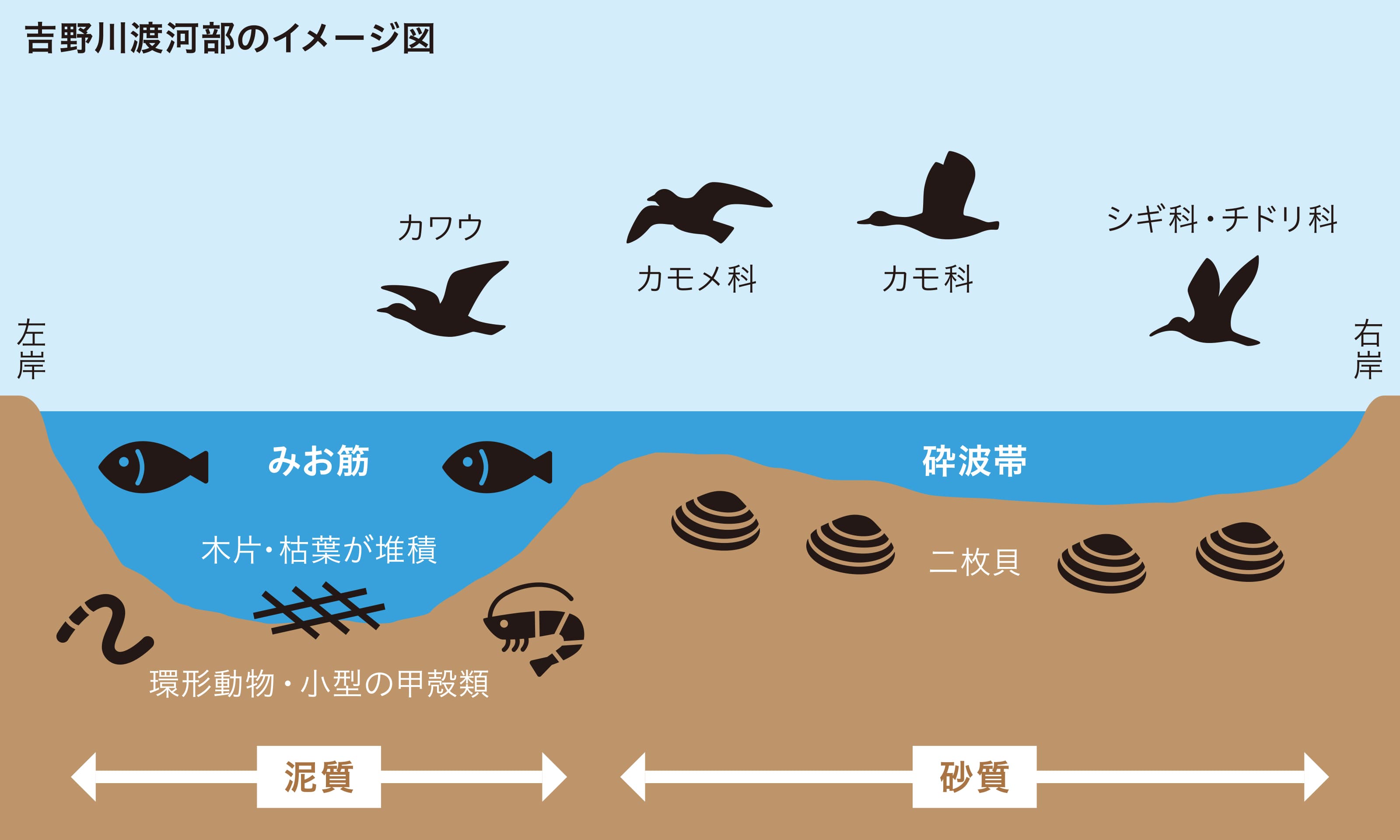 吉野川渡河部のイメージ図