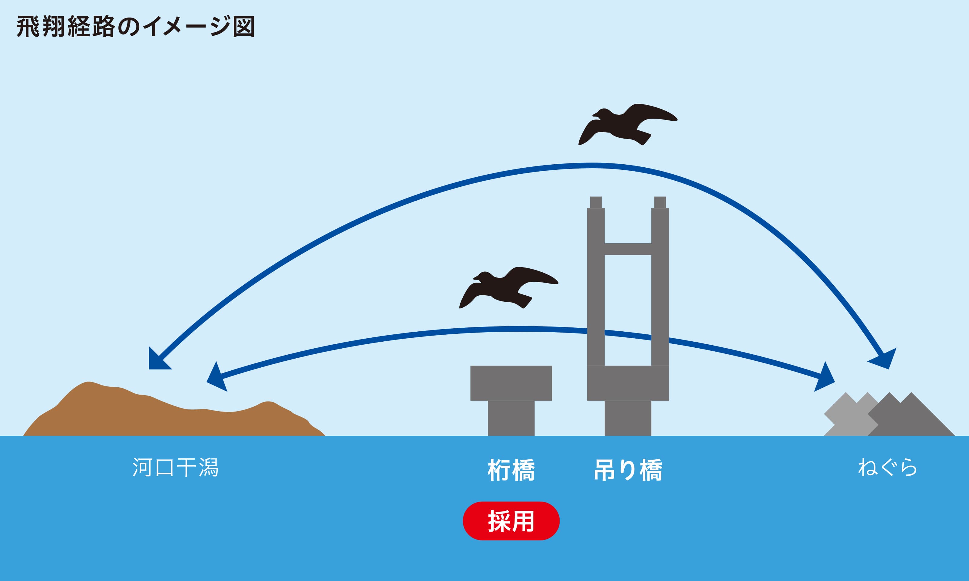 飛翔経路のイメージ図