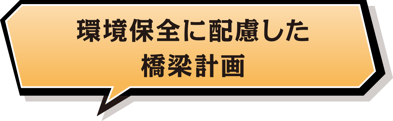 環境保全に配慮した橋梁計画