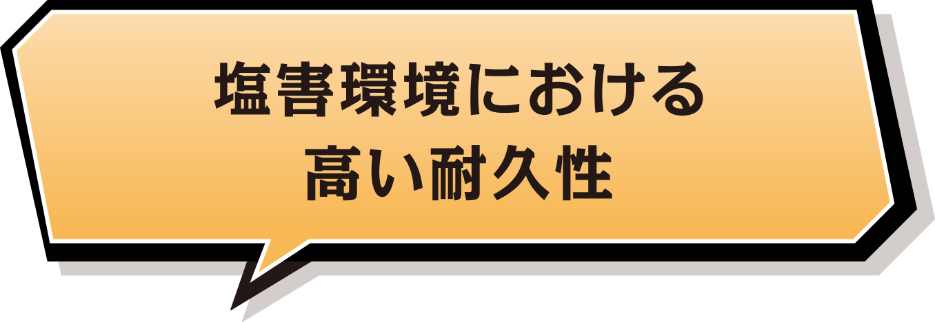 塩害環境における高い耐久性