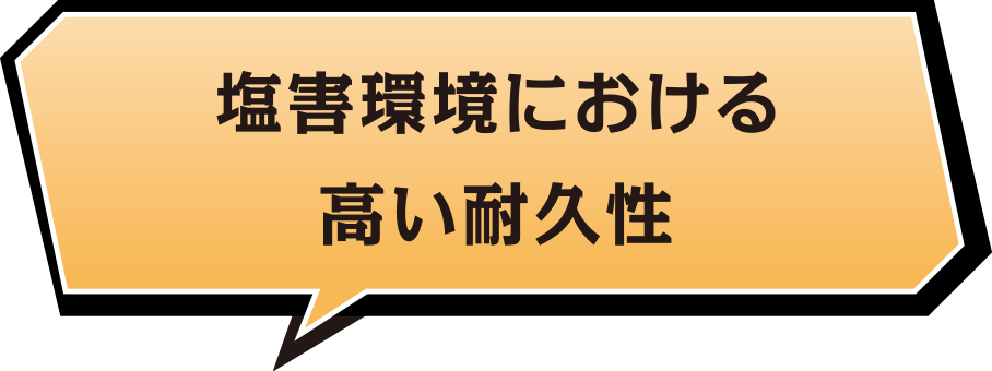 塩害環境における高い耐久性