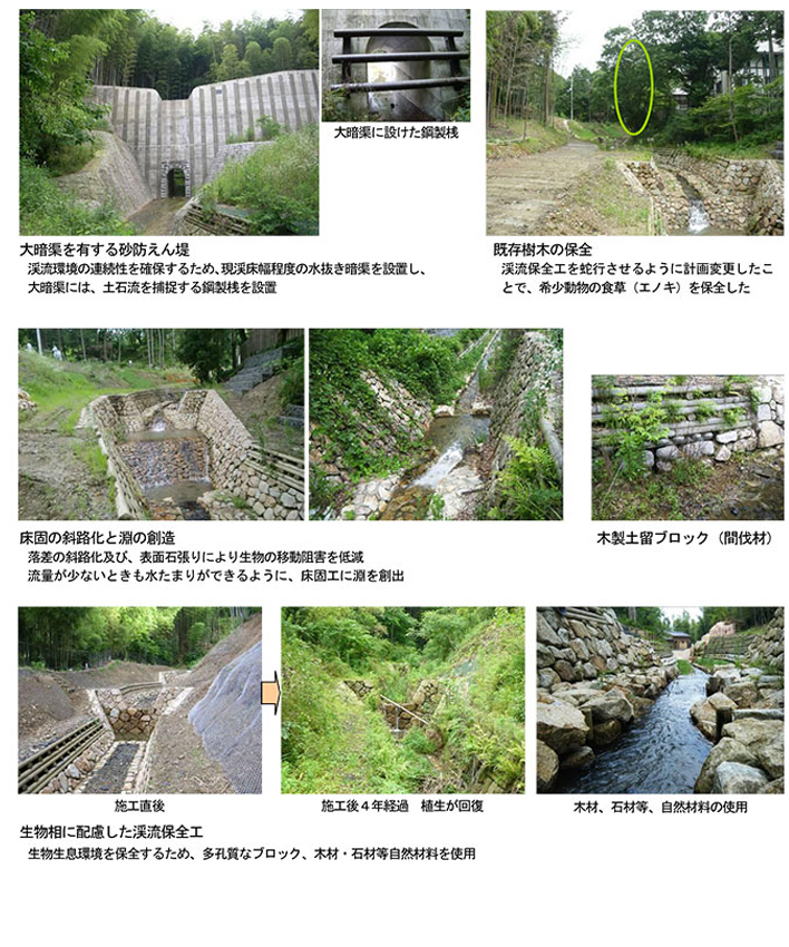 作品集：坂川堰堤及び渓流保全工